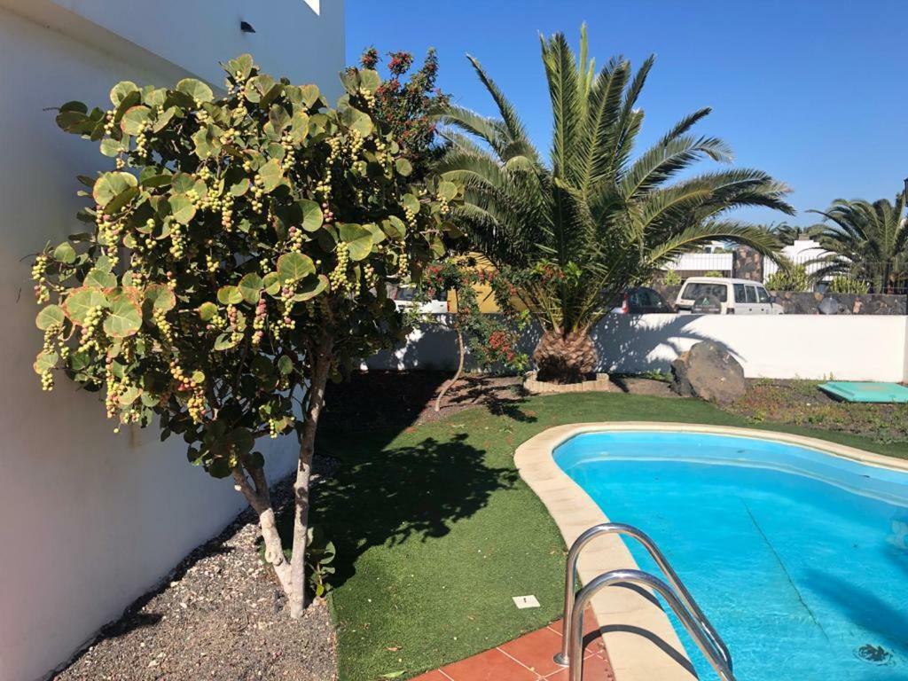 Royal Park Guesthouse Corralejo Exterior foto